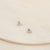 Seashell Stud Earrings - 14k Gold - Camillette